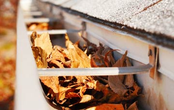 Moss Lane gutter cleaning companies